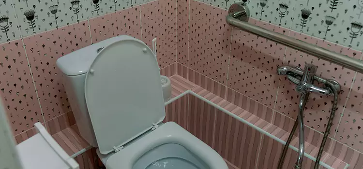 Meeting Diverse Needs With Accessible Restroom Solutions in Bella Vista, AR